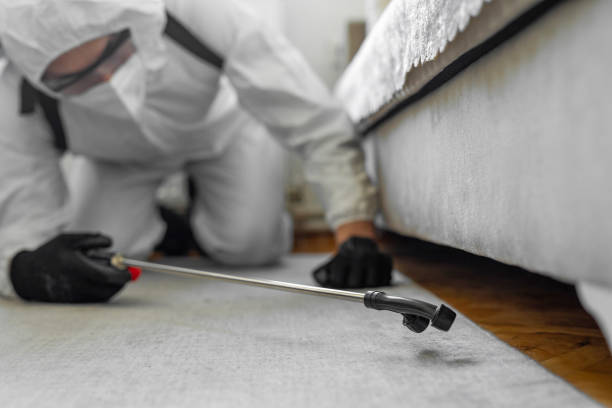 Professional Pest Control technician working in San Felipe Pueblo, NM