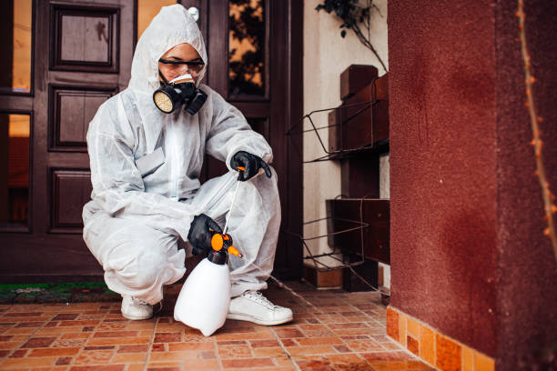 Reliable Rodent Control contractor in San Felipe Pueblo, NM by Nex Pest Control