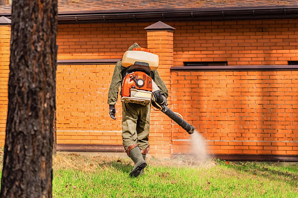 Trusted Fumigation Services service in San Felipe Pueblo, NM - Nex Pest Control